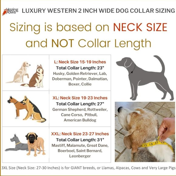 BlazingPaws Barrington Luxury Crystal Red Leather Dog Collar XXL - Picture 4 of 5